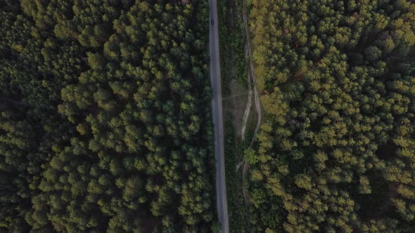 Aerial view flying over a dirt forest road green trees of dense woods growing both sides. 