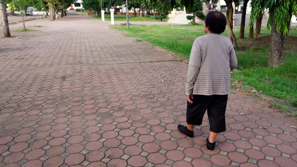 senior woman walking with walking stick in the park alt