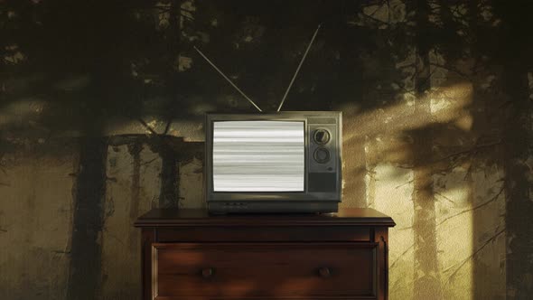 Old Retro Tv With Bright Static Screen Covered By The Shadows Of A Tree