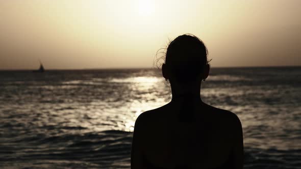 Silhouette of a Beautiful Young Woman Looking at the Sunset in the Ocean Africa alt