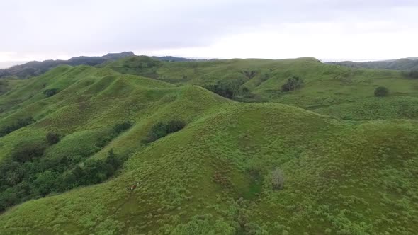 Aerial View of Grassland In The Philippines