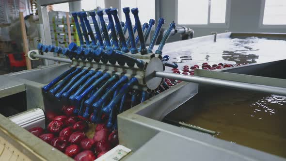 Industrial Washing of Apples