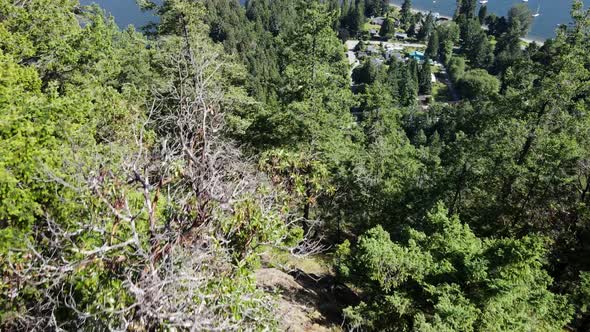 Young male hiker sitting atop the peak of Soames Hill overlooking the stunning ocean and coastline o alt