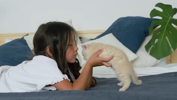 Little cute hispanic girl playing with Scottish Fold kitten on bed at home alt