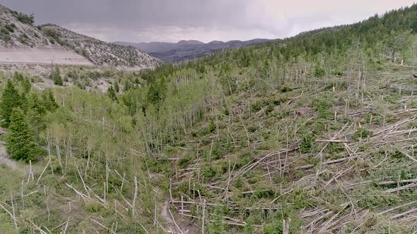 Flying over canyon viewing damaged trees from EF-2 tornado in Utah alt