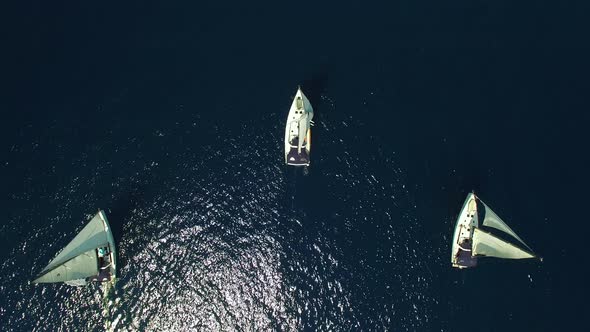 Aerial top view of white yachts with developed sails sailing in nice formation