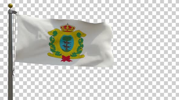Durango Flag (Mexico) on Flagpole with Alpha Channel - 4K alt