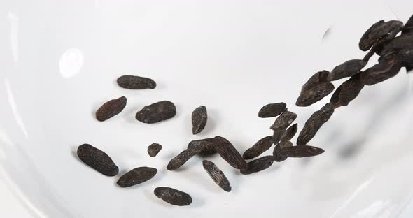 Tonka Feve, dipteryx odorata, spice falling against White Background, Slow Motion 4K alt