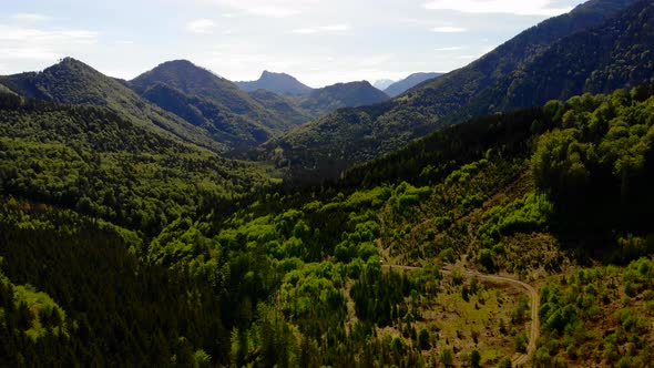 Signalkogel Langbathseen alt