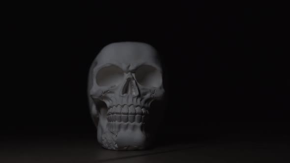 A Human Skull Emerges From the Darkness