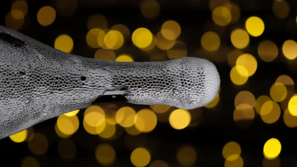 Champagne explosion. Champagne popping, opening champagne bottle alt