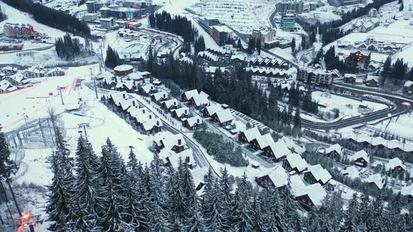 Aerial view with the trees covered in heavy snow. alt