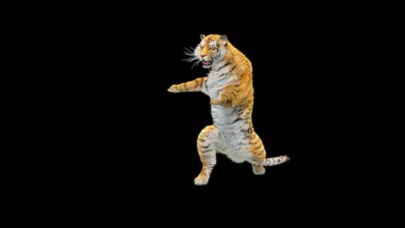 77 Tiger Dual Weapon Combo 4K alt