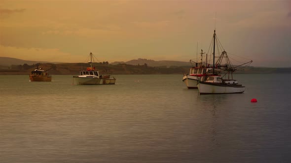 Fishing Boats at Sunset