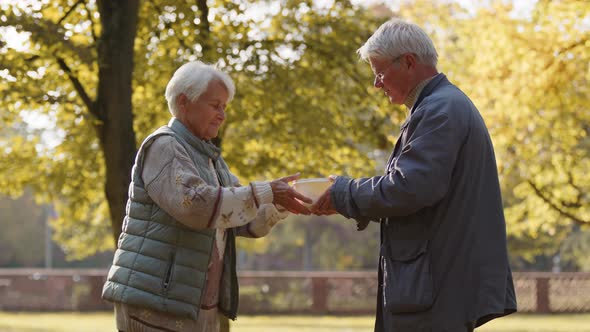 Charity and Social Welfare alt