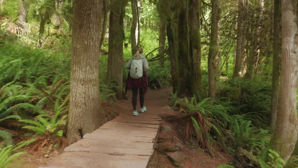 Back View of Independent Woman Walking By Trail in Dense Green Moss Rainforest alt