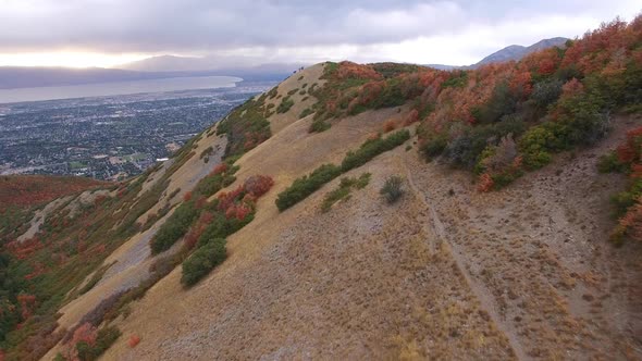 Aerial view of Fall color on landscape of foliage. alt