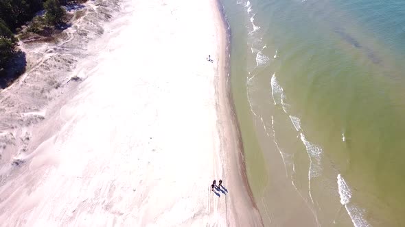 People enjoy sunny day of Baltic sea coastline, aerial view alt