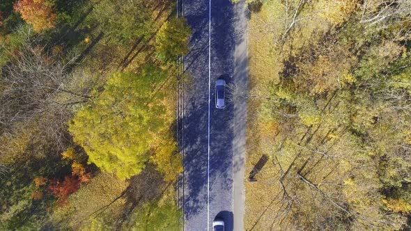 Overhead Aerial Top View Over Car Travelling Through Colorful Forest