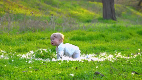 Little Baby on the Grass alt