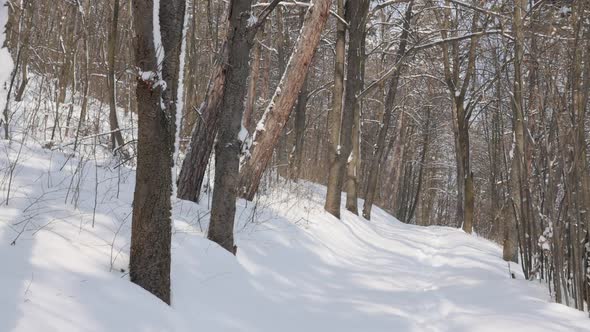 Slow motion walking on  clean white snow POV  1920X1080 FullHD video - Trekking through nature and f alt