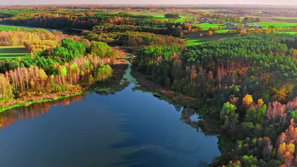 Small lake and forest in autumn, aerial view of Poland alt