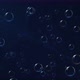 Bubble particles background - VideoHive Item for Sale