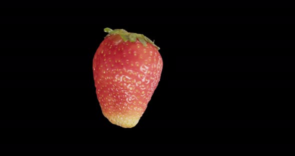 Red Strawberry Rotates Alpha Channel alt