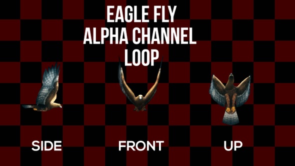Eagle Fly 3Clip Alpha Loop