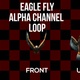 Eagle Fly 3Clip Alpha Loop - VideoHive Item for Sale