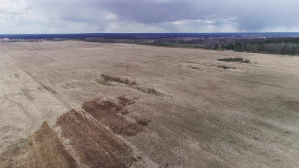 Flying Over an Empty Field. Early Spring, a Lot of Withered Grass alt