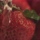 Water dripping onto strawberries in super slow motion.  Shot on Phantom Flex 4K high speed camera. - VideoHive Item for Sale