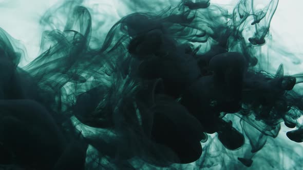Dark Green Ink Sprayed Into Water On A White Background alt