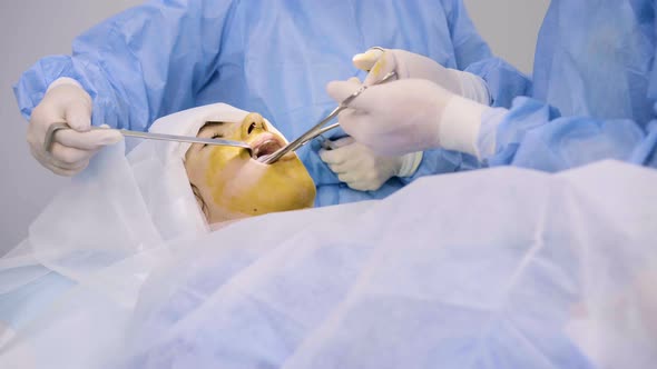 Cosmetic Surgery in the Clinic alt