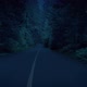 Gliding Along Tree Lined Road At Dusk - VideoHive Item for Sale