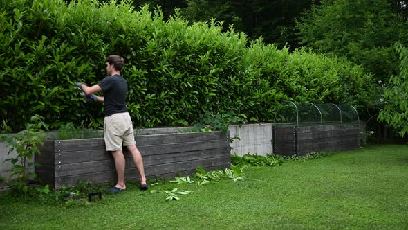 Young Man Cutting And Shaping The Hedge