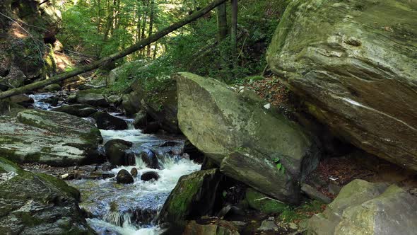 Mountain river flowing over rocks and boulders in forest, Bistriski Vintgar Pohorje mountain, Sloven alt