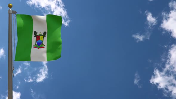 Lagos City Flag (Nigeria) On Flagpole alt