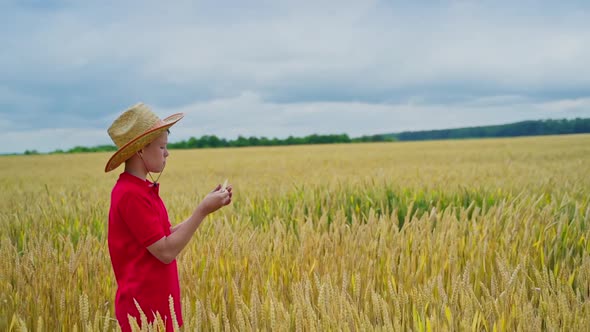Little farmer on yellow field alt