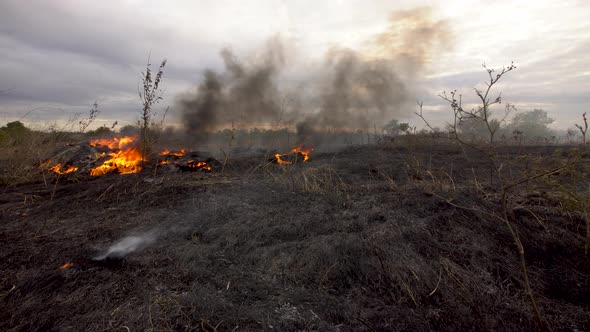Fire on a field in the steppe alt