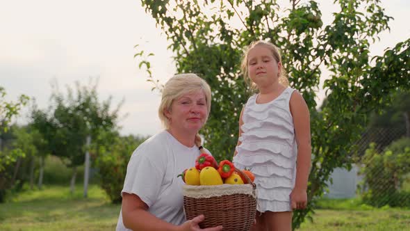 Portrait grandmother granddaughter hold basket with vegetables harvest in garden outdoors alt