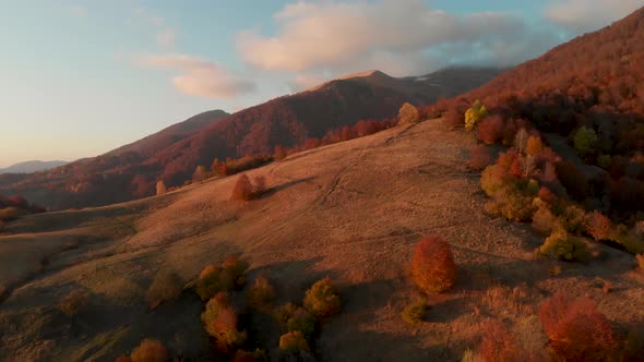 Flying Over Autumn Forest Revealing Mountain Top