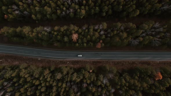 Road with cars between deep green forest in Ural