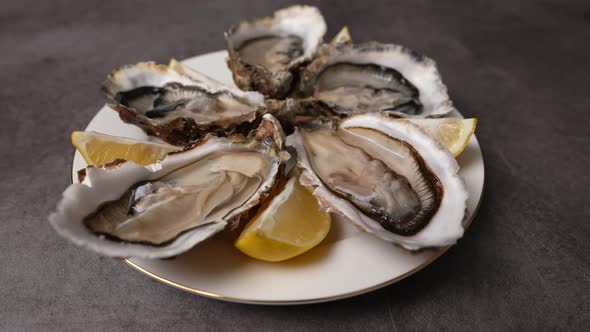 Fresh Oysters 20 alt