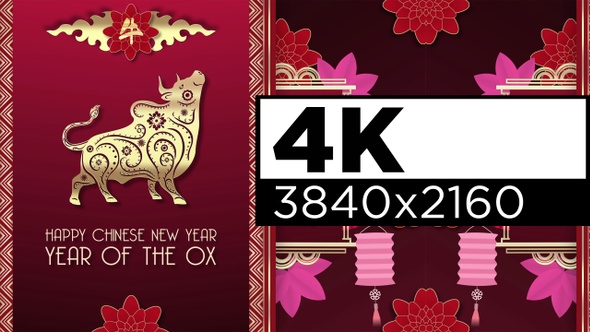 Year Of The Metal Ox