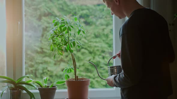 A Man Comes to the Window and Waters the Plants Standing on the Windowsill