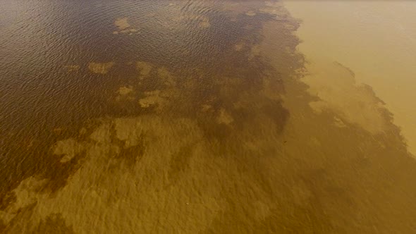 Birds eye aerial rising and tilting up over the Black River and Amazon River alt
