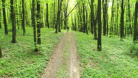 Cyclist Rides Along Forest Path