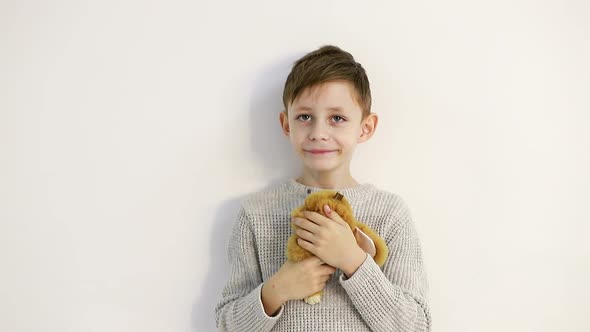 Little Boy with a Soft Toy on a White Background Tenderly Hugs the Toy alt