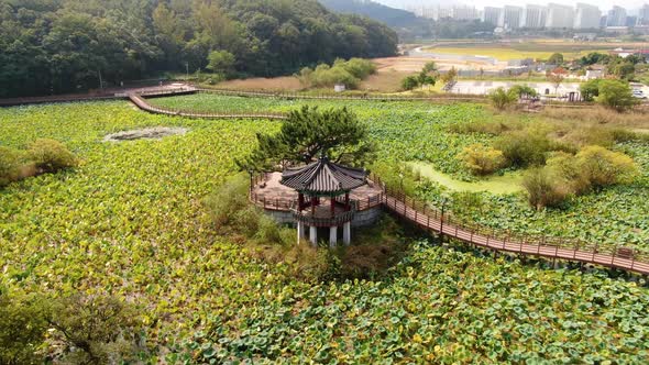 Korea Gyeongsangbuk Do Gumi City Goa Eup Moon Seong Ri Deulseong Ecological Park Moon Seongji 